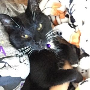 Meet your Posher, Paula